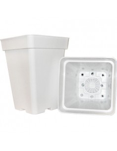 Maceta blanca cuadrada