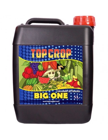 Big One de Top Crop 5 L.