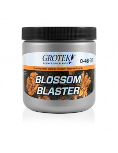 Blossom Blaster Grotek 