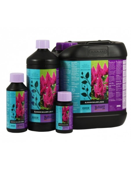 B'Cuzz Blossom Builder Atami