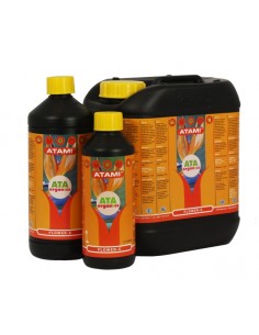 ATA NRG Flower-C Atami