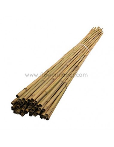 Tutor bambú 105 cm.