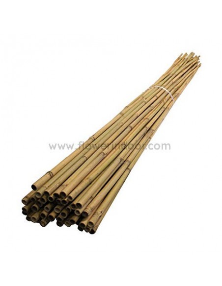 Tutor bambú 105 cm.