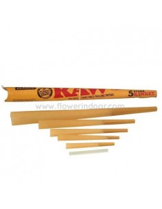 Raw conos de 5 tipos