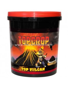 Top Vulcan