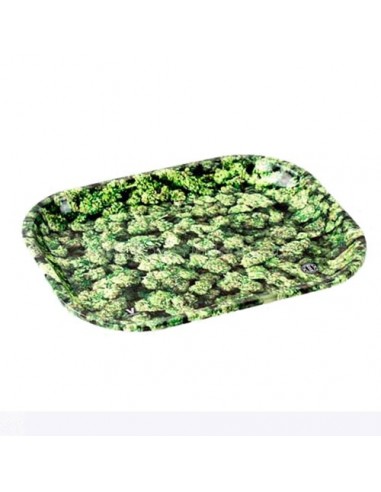 Bandeja liar cogollos