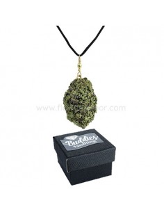 Collar cogollo