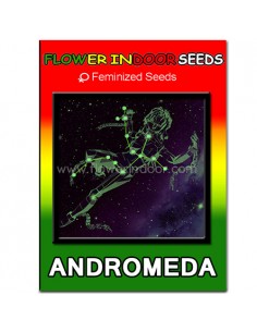 Andromeda