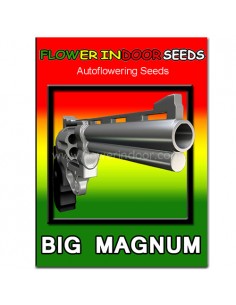 Big Magnum