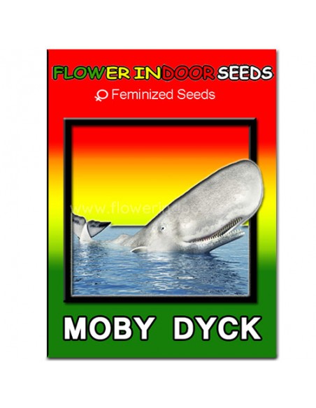 Moby Dyck