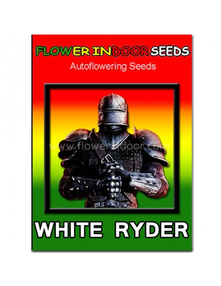 White Ryder Auto