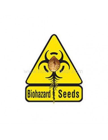 Jawar de Biohazard