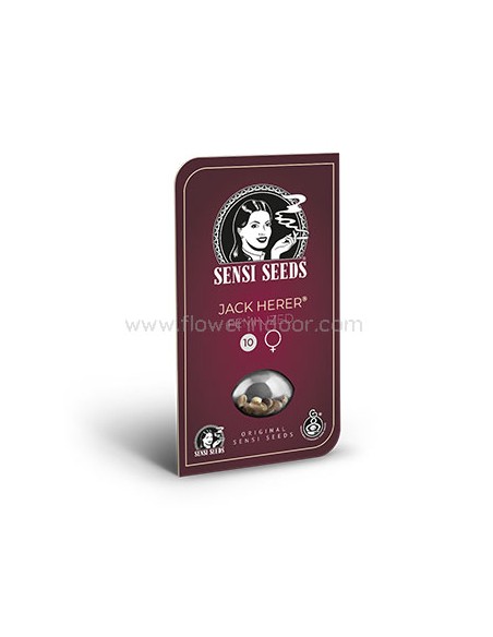 Jack Herer Feminizada