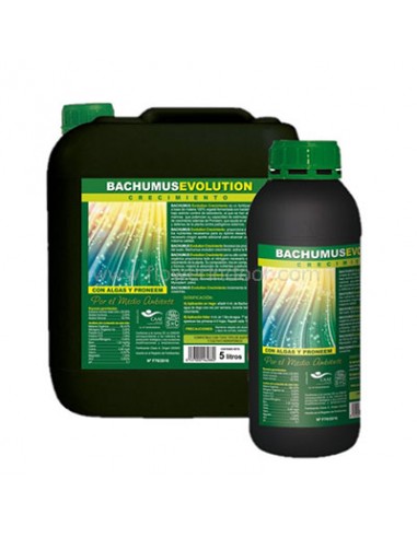 Bachumus Evolution crecimiento