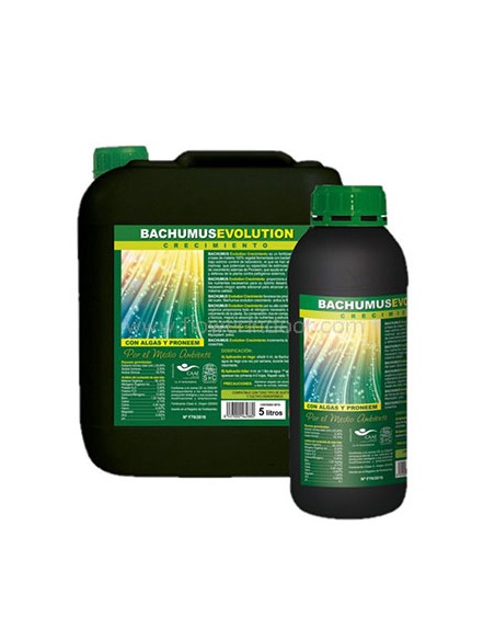 Bachumus Evolution crecimiento