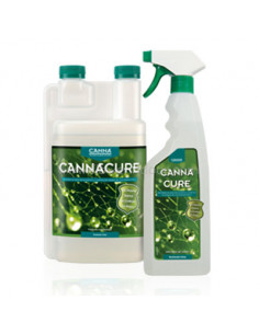 Cannacure