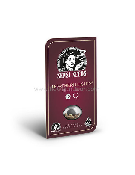 Northern Lights Feminizada