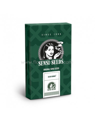 Black Domina Regular