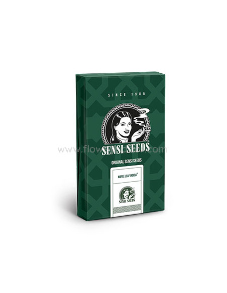 Maple Leaf Indica regular