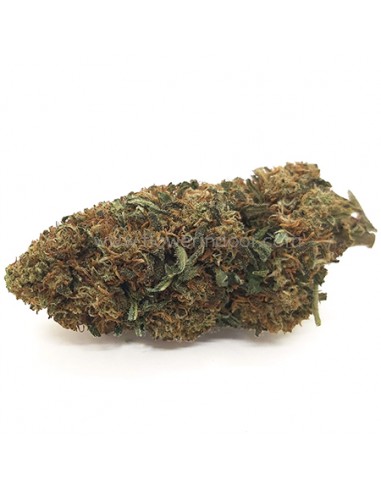 Flores CBD Candy Caramel