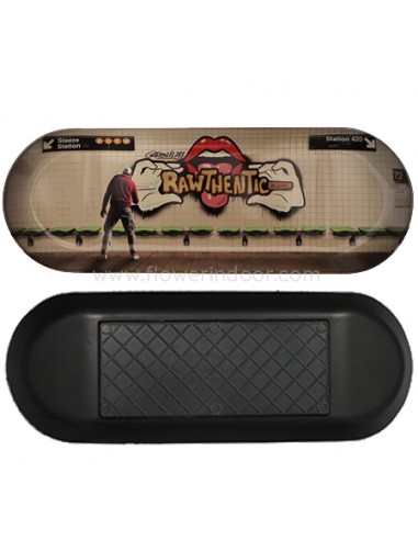 Bandeja Raw Skate Graffiti 2