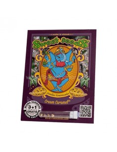 Cream Caramel Sweet Seeds