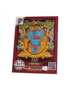 Sweet Afgani Delicious S.A.D Fast Version Sweet Seeds