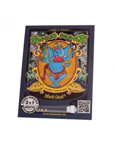 Black Jack de Sweet Seeds