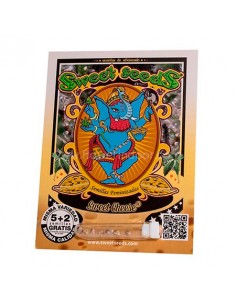 Sweet Cheese de Sweet Seeds