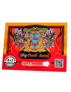 Big Devil XL Auto Sweet Seeds