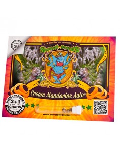 Cream Mandarine Auto Sweet Seeds