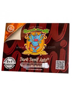 Sweet seeds Dark devil Auto
