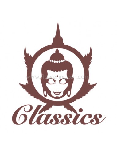 Budda Ak Classics