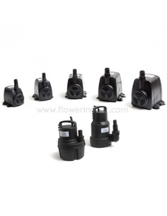 Bomba de agua Water Master