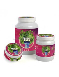 Brutal Buds