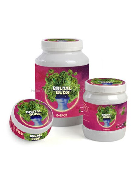 Brutal Buds