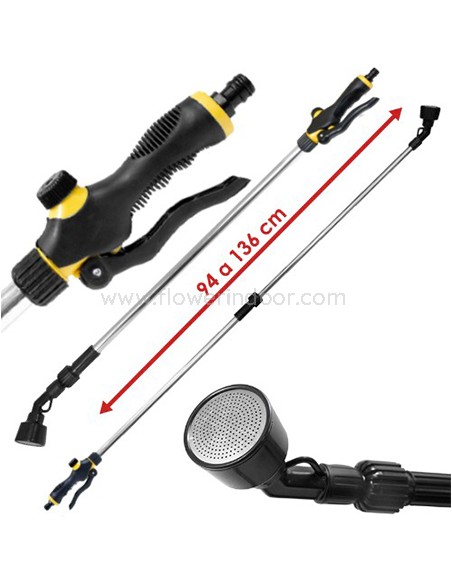 Lanza extensible de riego