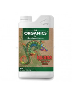 Iguana Juice Bloom