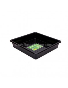 Bandeja de cultivo cuadrada