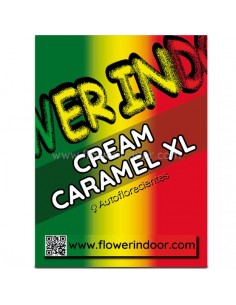 Flower Cream Caramel XL