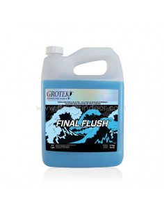 Final Flush Regular