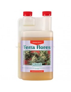 Canna Terra Flores
