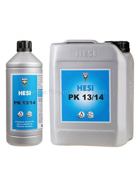 Hesi PK 13 14