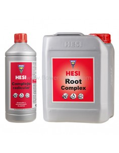 Radicular de Hesi