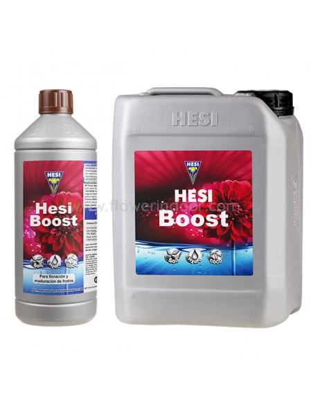 Hesi Boost