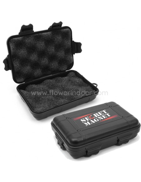 Secret Magnet original