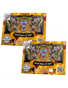 Sweet Cheese XL Auto