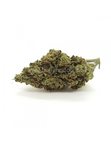 Flores CBD Pineapple