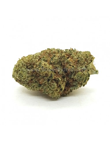Flores CBD White Melon