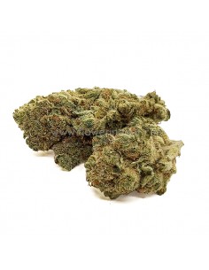 Flores CBD Super Silver Haze